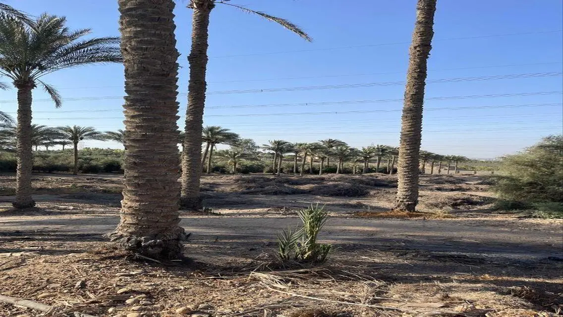 عقار للبيع متميز بمساحة 10000 متر