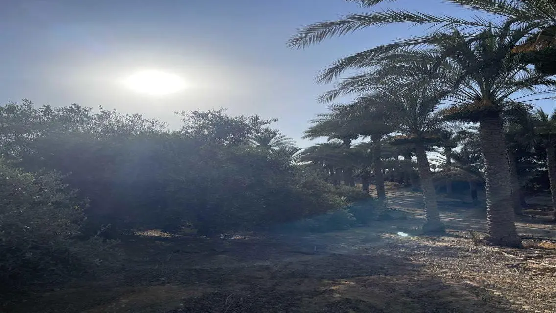 عقار للبيع متميز بمساحة 10000 متر
