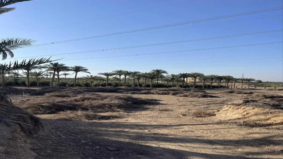 عقار للبيع متميز بمساحة 10000 متر