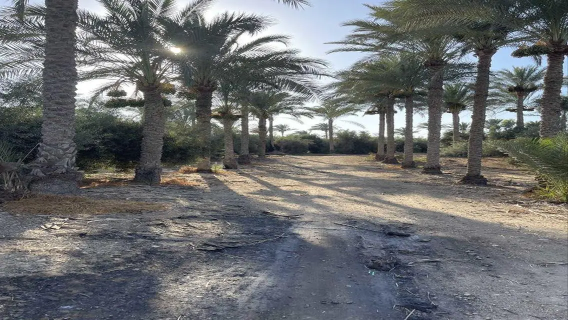 عقار للبيع متميز بمساحة 10000 متر