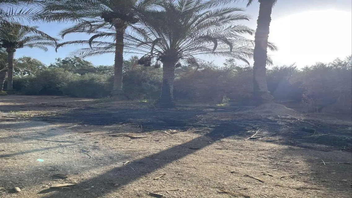 عقار للبيع متميز بمساحة 10000 متر