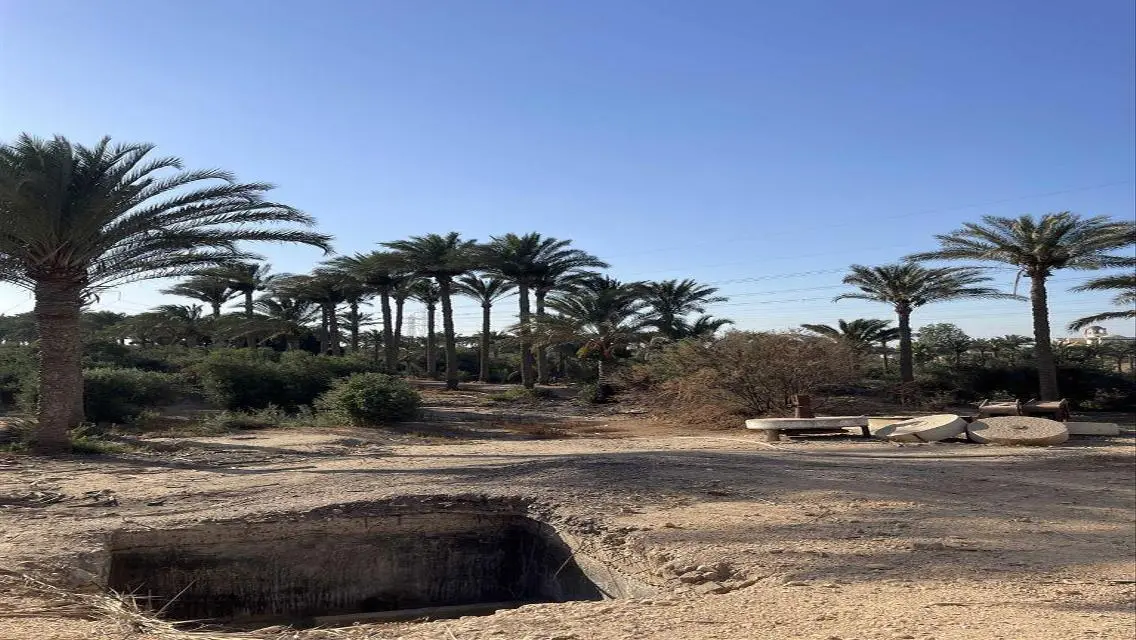 عقار للبيع متميز بمساحة 10000 متر