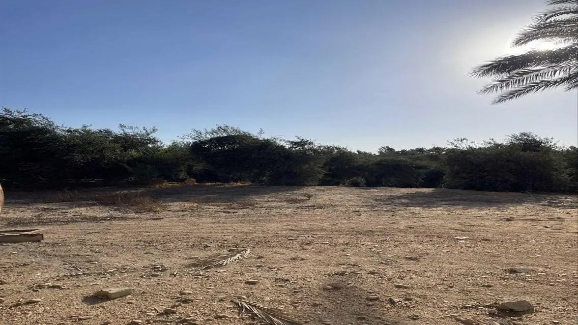 عقار للبيع متميز بمساحة 10000 متر