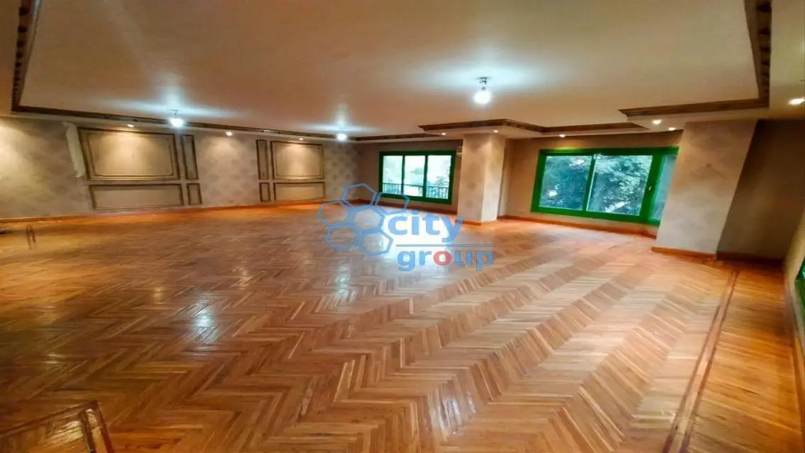 Stunning 350 sqm Apartment in City with Premium Amenities