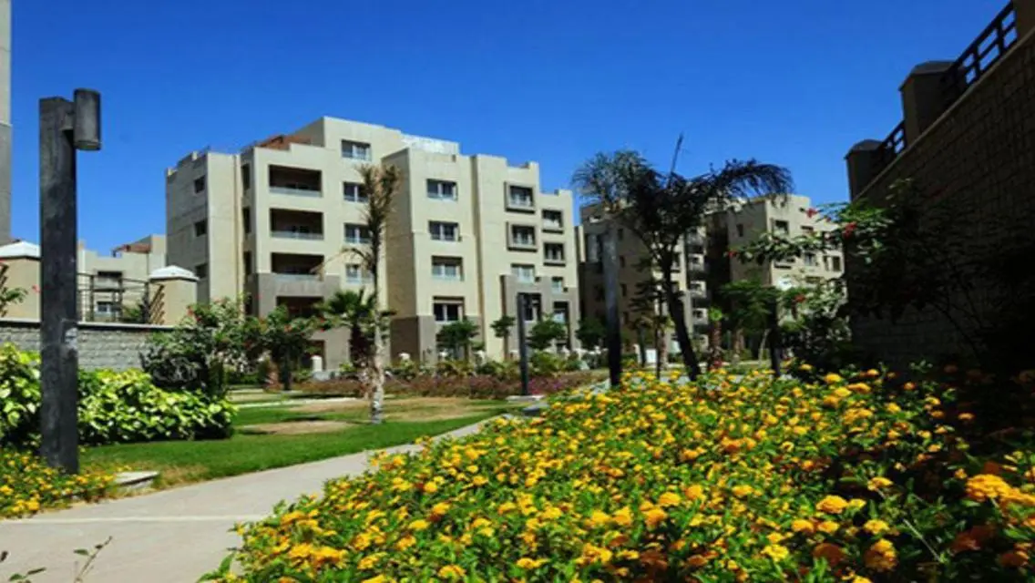 Luxury Apartment in Palm Hills