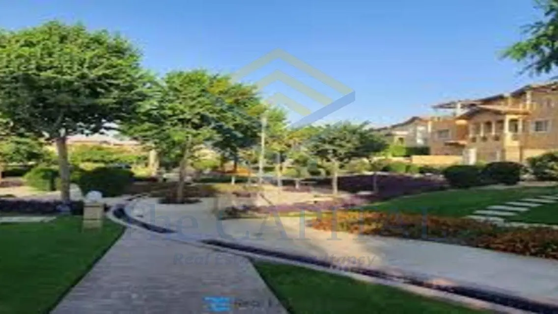 Luxury Apartment in Hyde Park