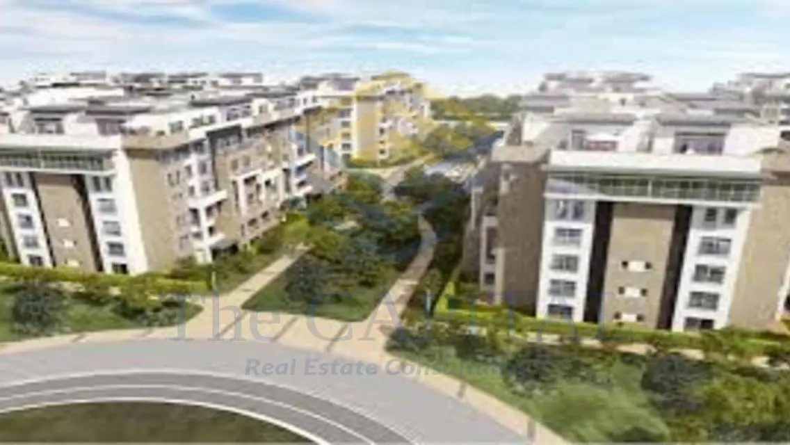 Luxury Apartment in Hyde Park