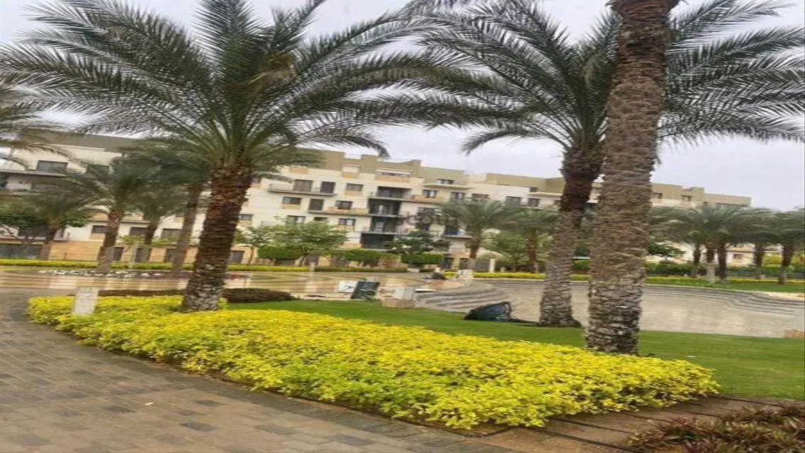 Luxurious Apartment with Amazing Amenities