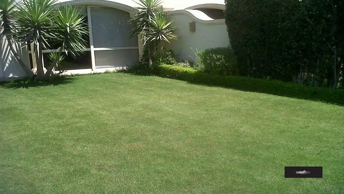 شقة فاخرة في AUC FUE