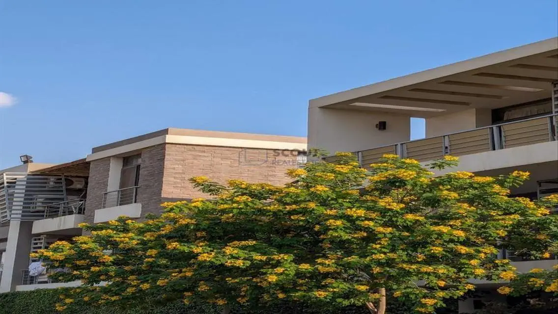 Luxurious Home with Modern Design in the Heart of the City