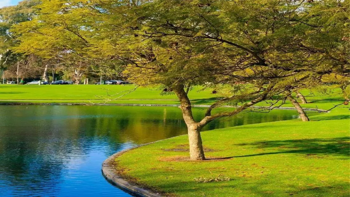 Luxury Hotel for Sale - 17,000,000 EGP