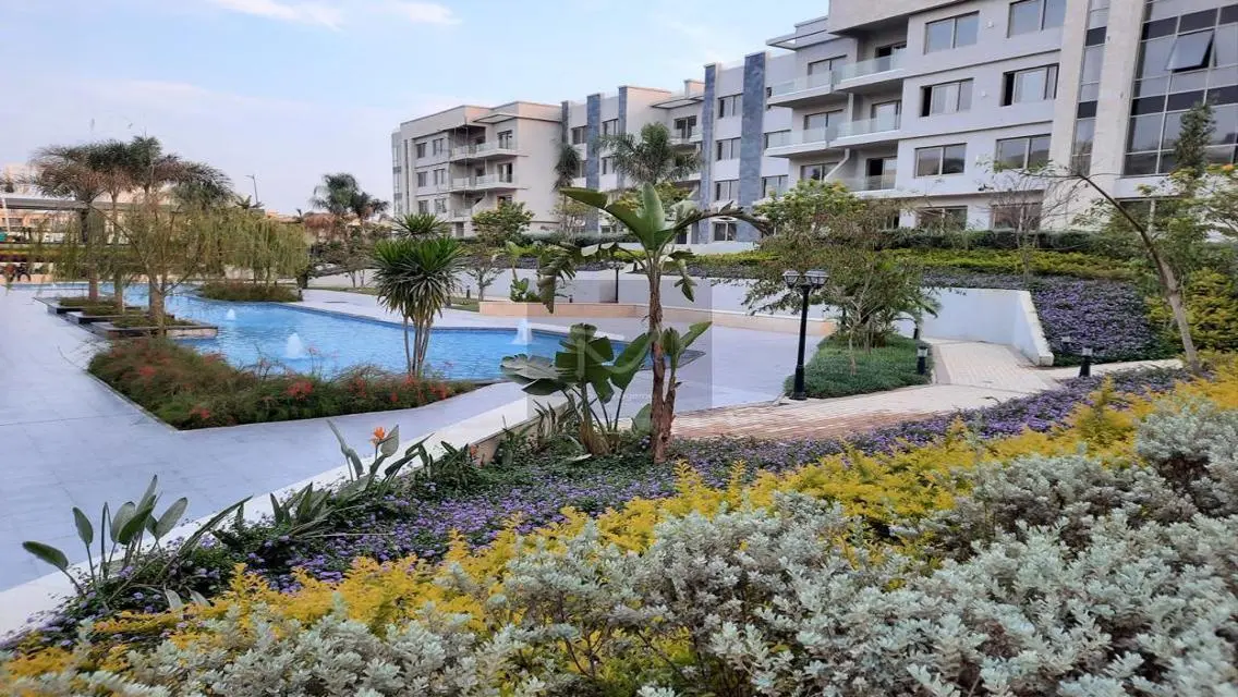 Luxury Apartment of 162 sqm in AUC at Unmatched Price