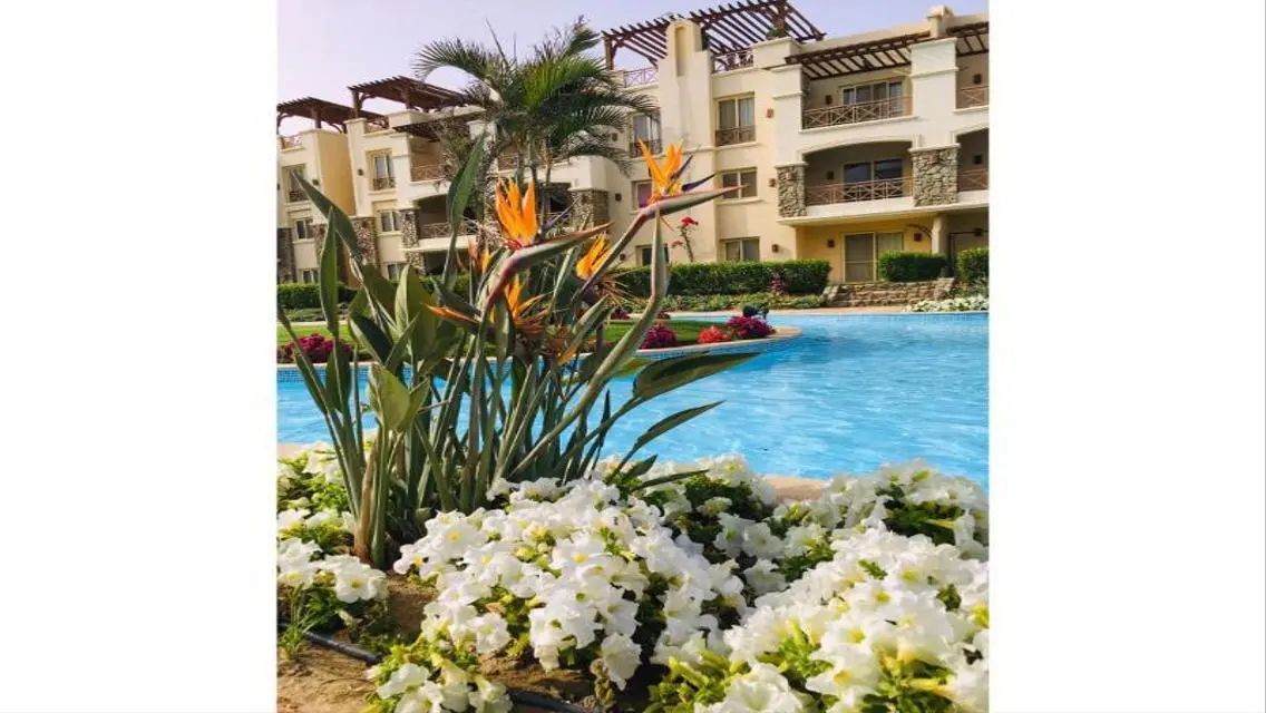 Sea-view Apartment with Private Pool and Garden
