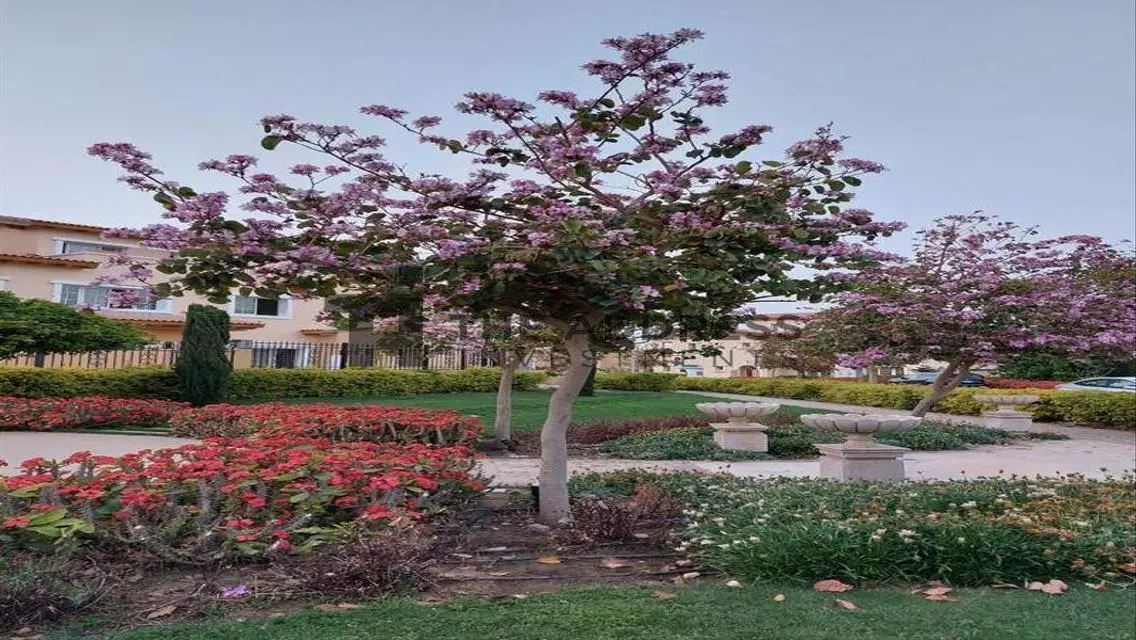Luxury Villa for Sale in Palm Hills, New Cairo