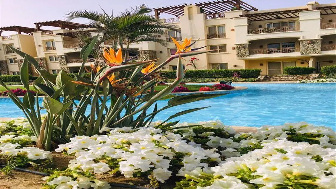 Luxury Apartment for Sale in Ideal Location