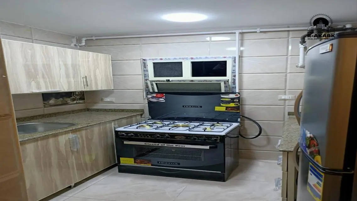 Luxury Apartment for Rent in Downtown