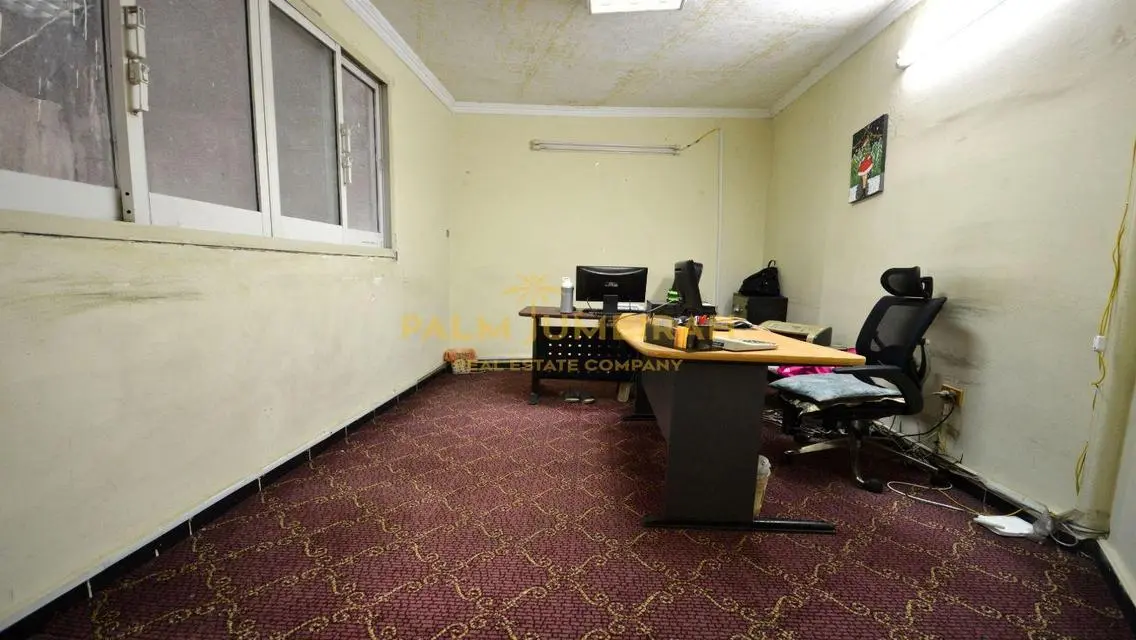 Luxury Apartment in Palm Jumeirah - Investment Opportunity