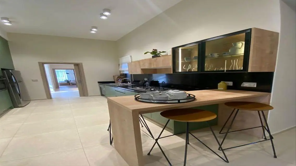 Luxurious Apartment in the City Center