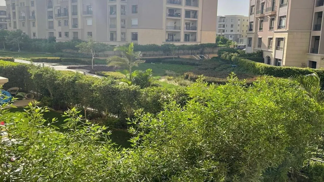 Luxury Apartment for Rent with Spacious Area