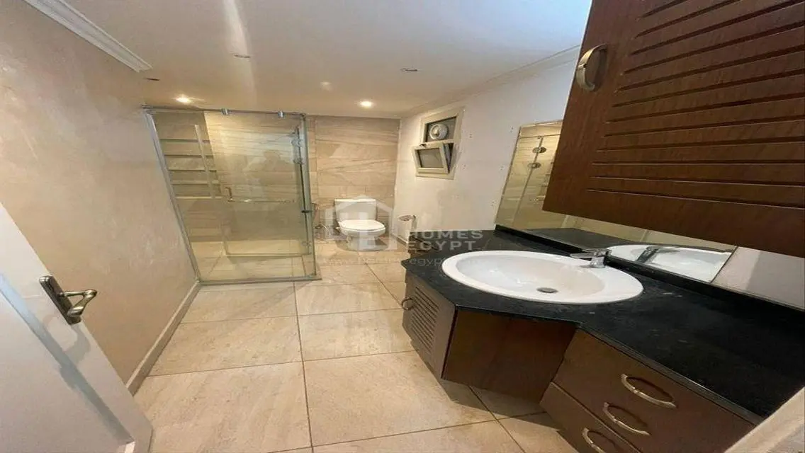 Furnished Nile-View Apartment in South Zamalek