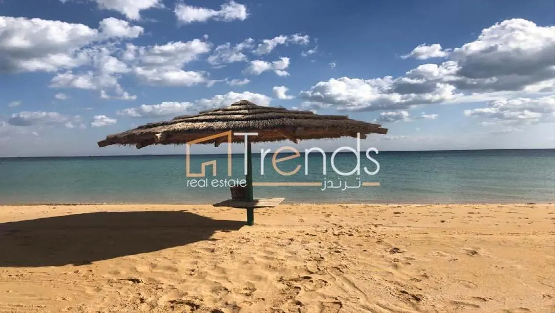 Luxury Apartment Spanning 195 Meters in the Heart of the City