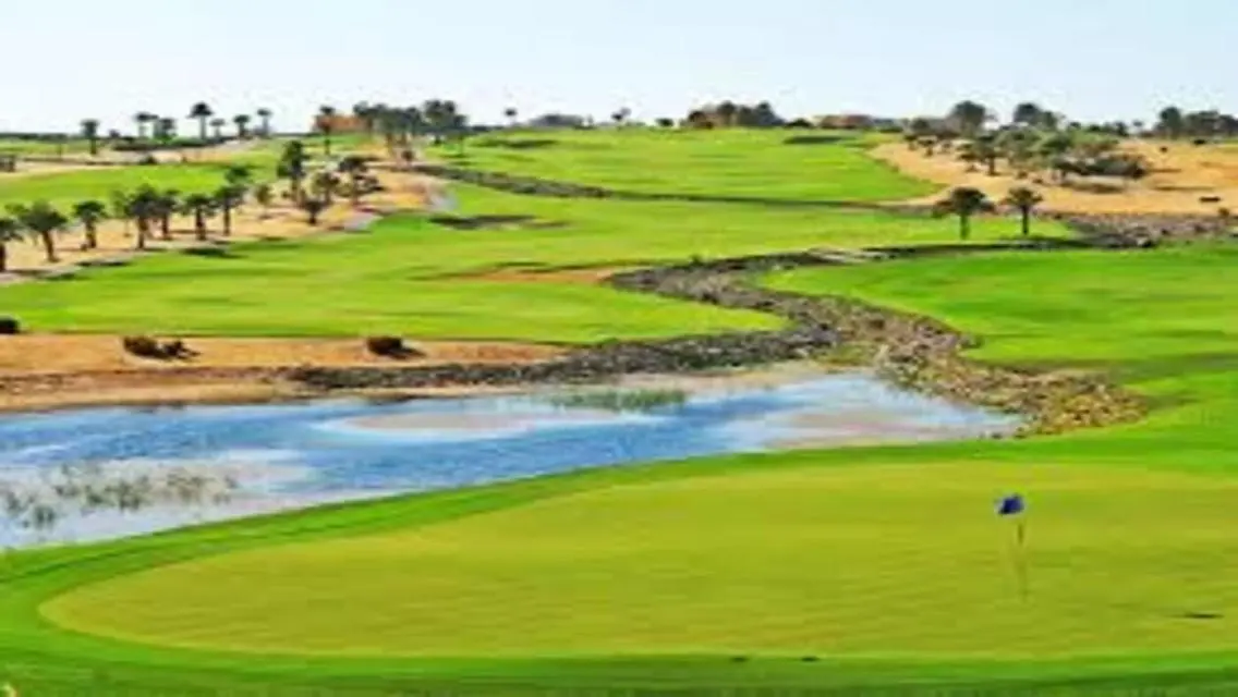 Stunning Golf Views in Palm Hills