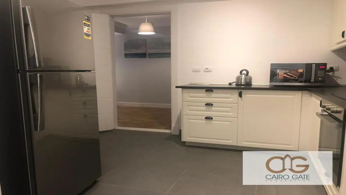 Modern Furnished Apartment for Rent in Zamalek