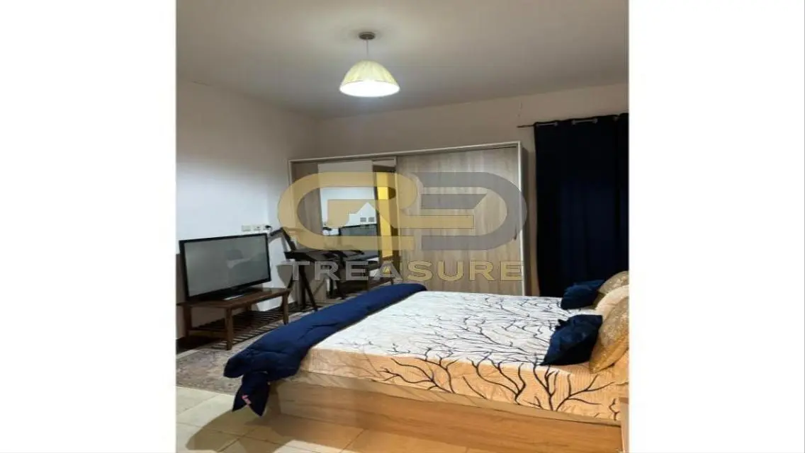 Treasure Property: Luxurious Apartment for Sale