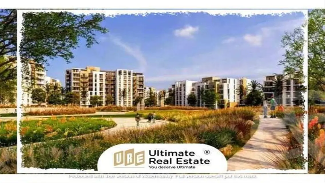 Premium Apartment Rental Opportunity