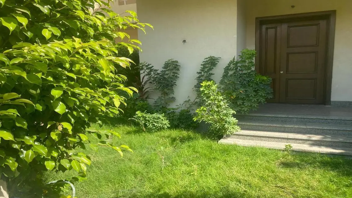 Luxury Apartment with 284 sqm