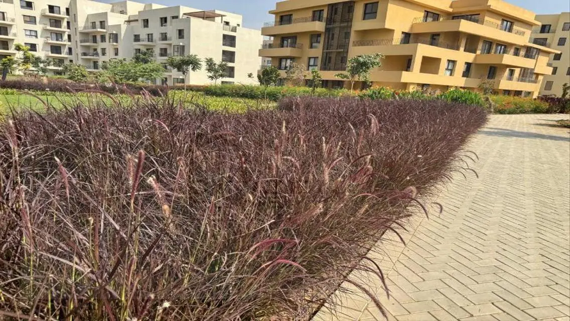 CITIZEN Home - An Unmissable Investment Opportunity