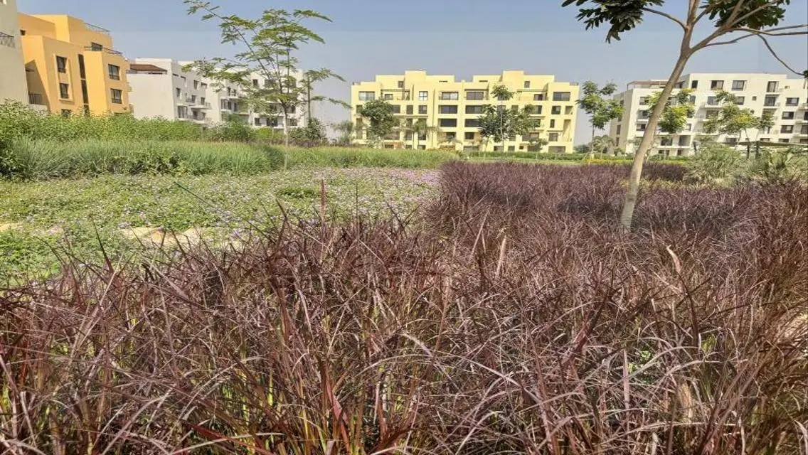 CITIZEN Home - An Unmissable Investment Opportunity