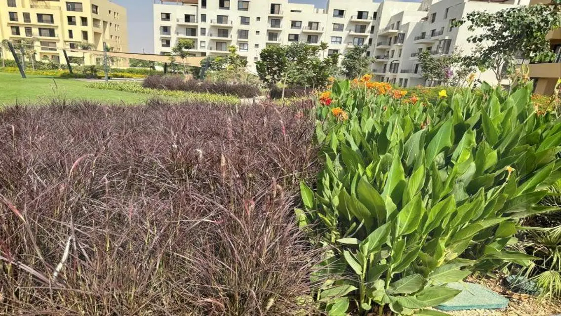 CITIZEN Home - An Unmissable Investment Opportunity