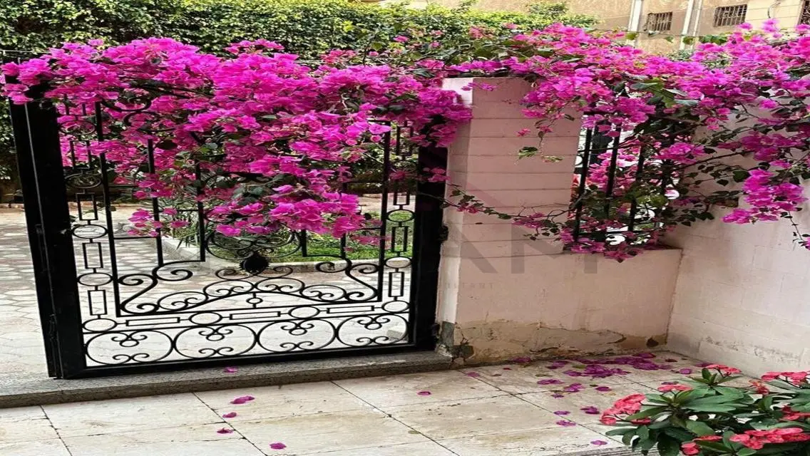 Luxury Apartment for Sale in RG0125