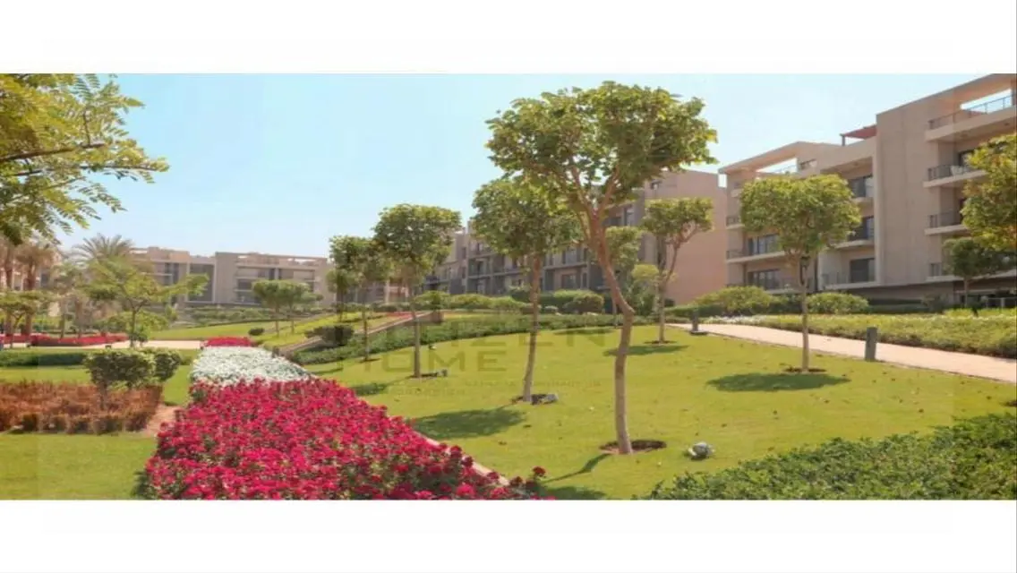 Luxurious Apartment at an Attractive Price