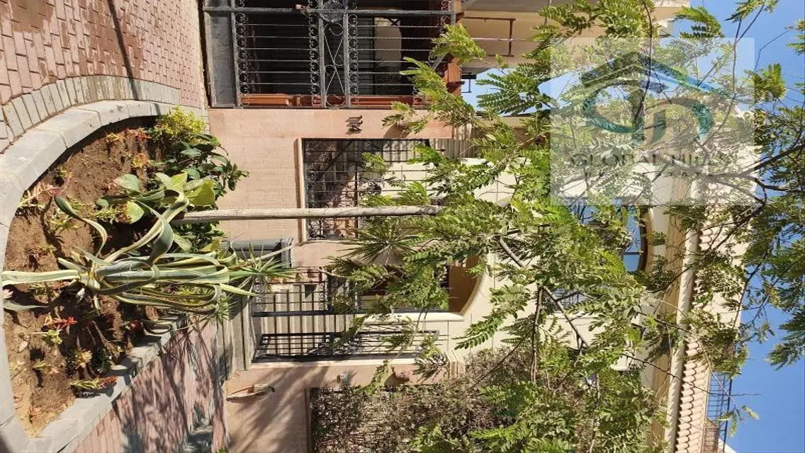 Apartment for Rent with Roof at Dreamland