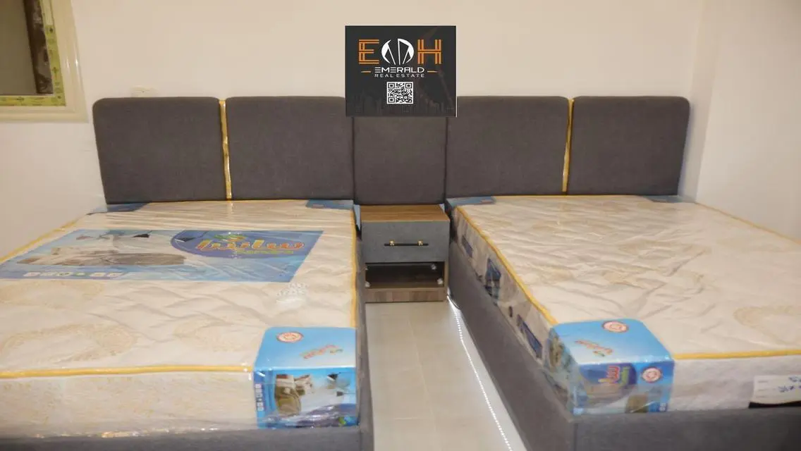 Luxury Apartment for Rent with Spacious Amenities