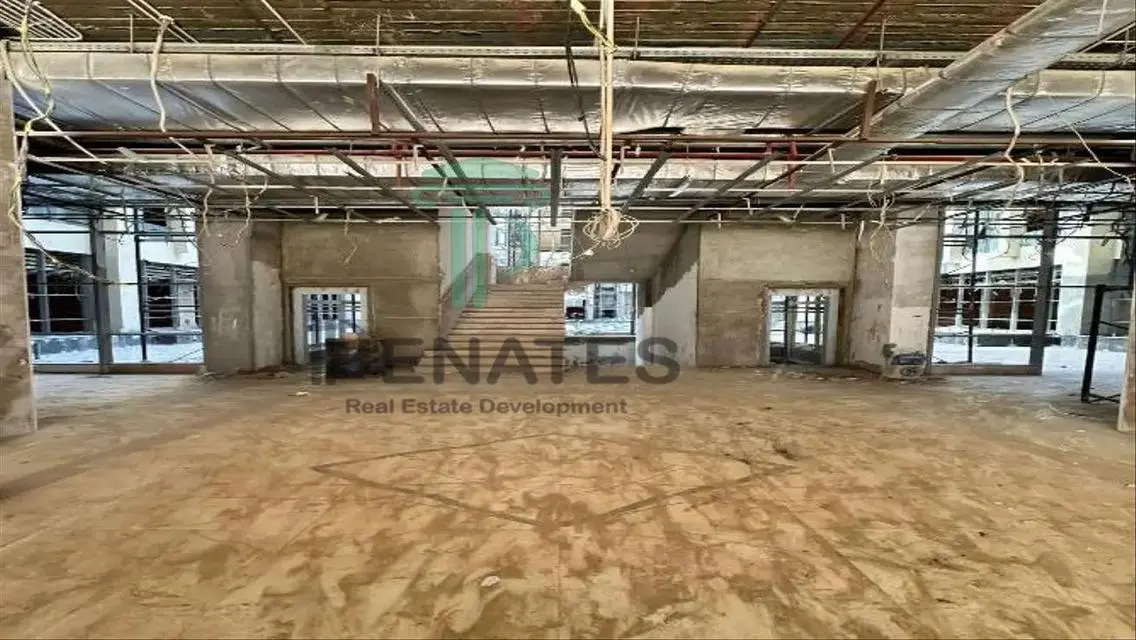 Luxury Apartment in Downtown