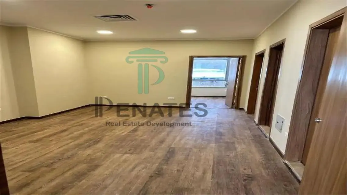 Luxury Apartment in Downtown
