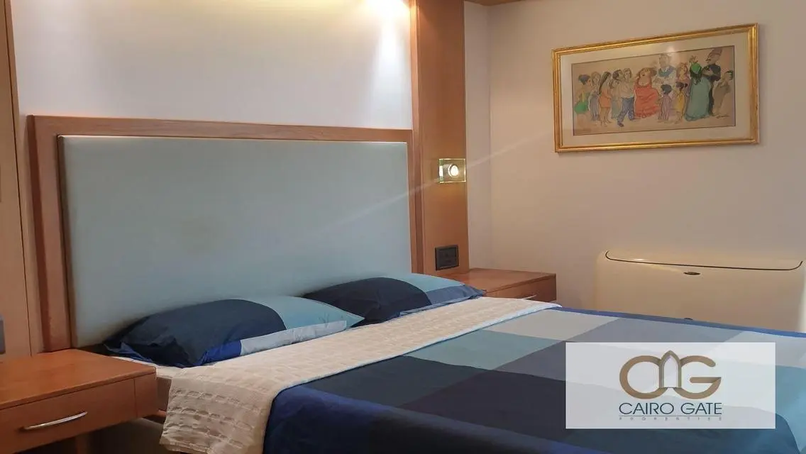 Modern Renovated Apartment in Zamalek for Sale