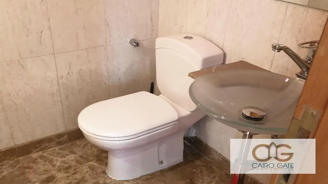 Modern Renovated Apartment in Zamalek for Sale