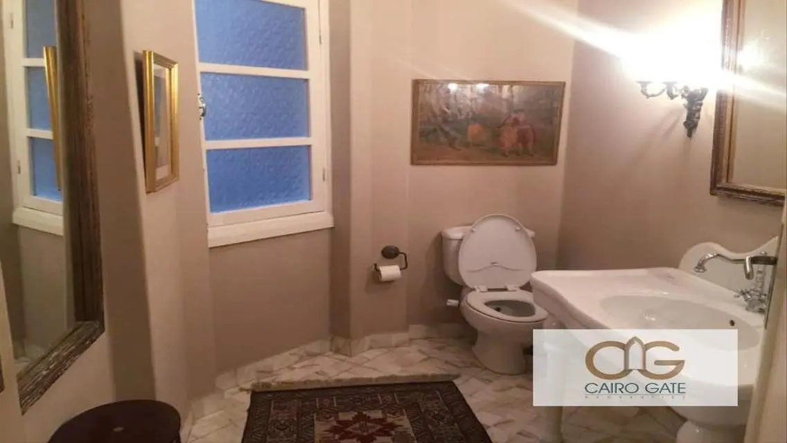 Prestigious Unique Spacious Apartment in Zamalek
