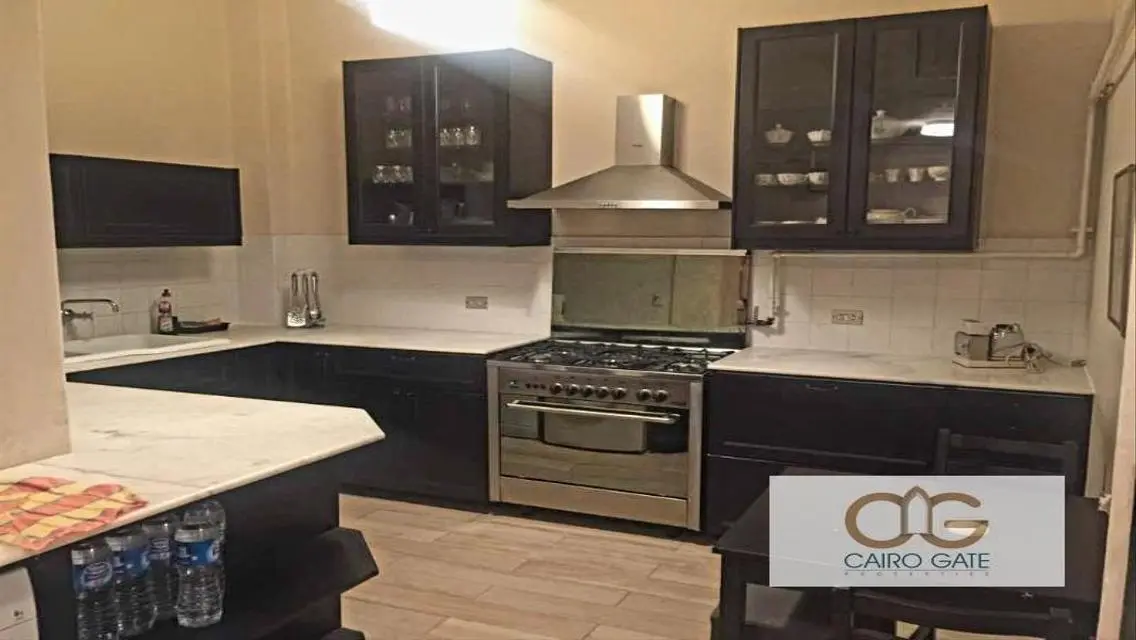 Prestigious Unique Spacious Apartment in Zamalek