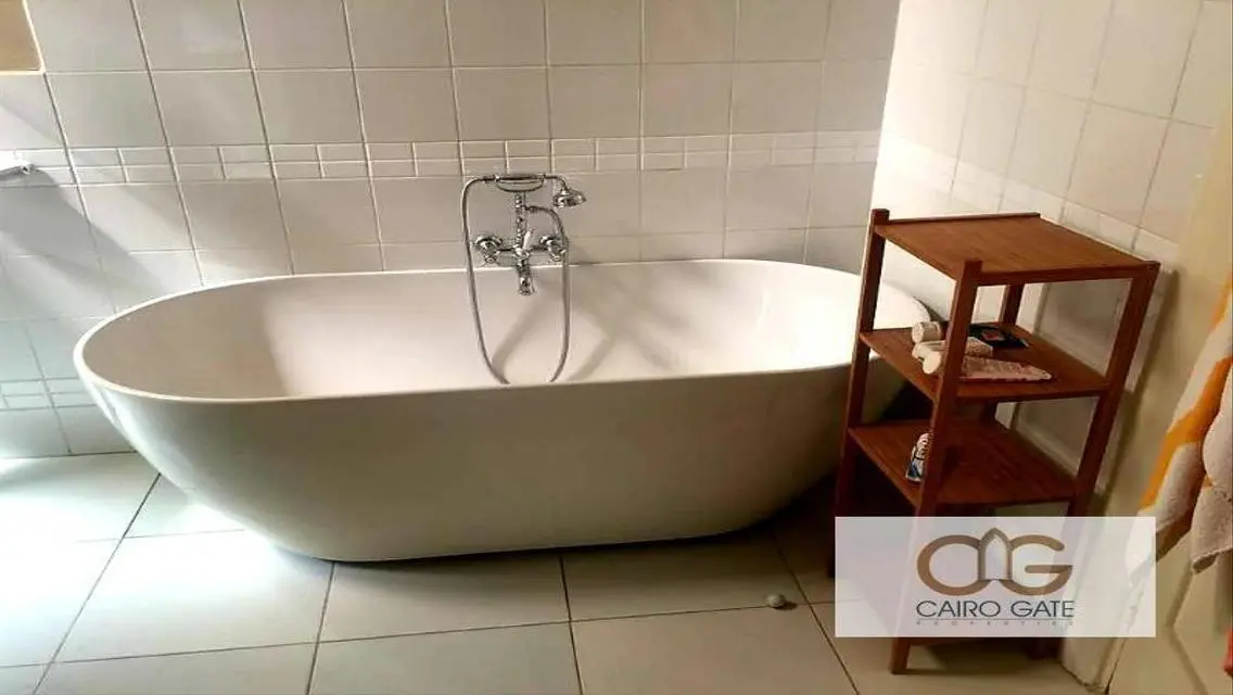 Prestigious Unique Spacious Apartment in Zamalek