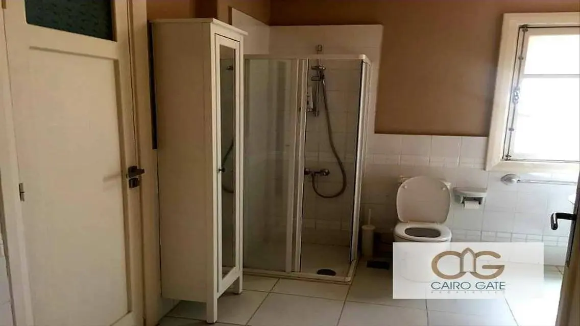 Prestigious Unique Spacious Apartment in Zamalek