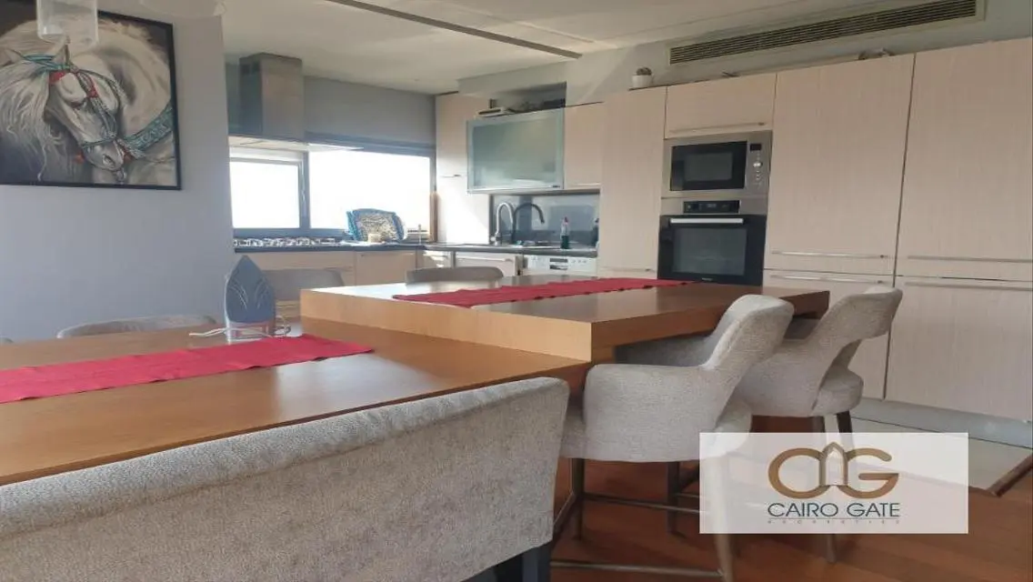 Panoramic Nile View Apartment for Rent in Zamalek