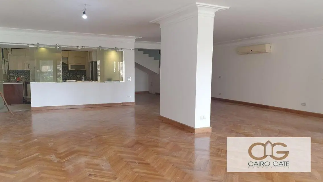 Modern Apartment for Rent in Zamalek