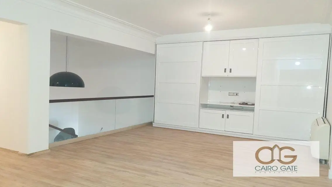 Modern Apartment for Rent in Zamalek