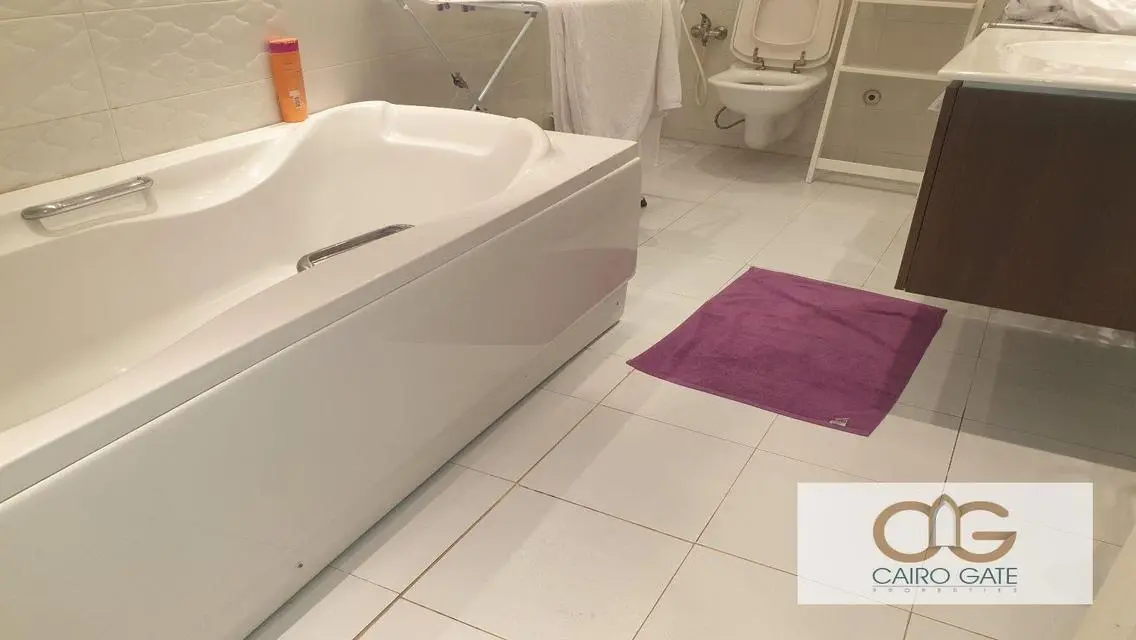 Modern Furnished Apartment with Golf View for Rent in Zamalek
