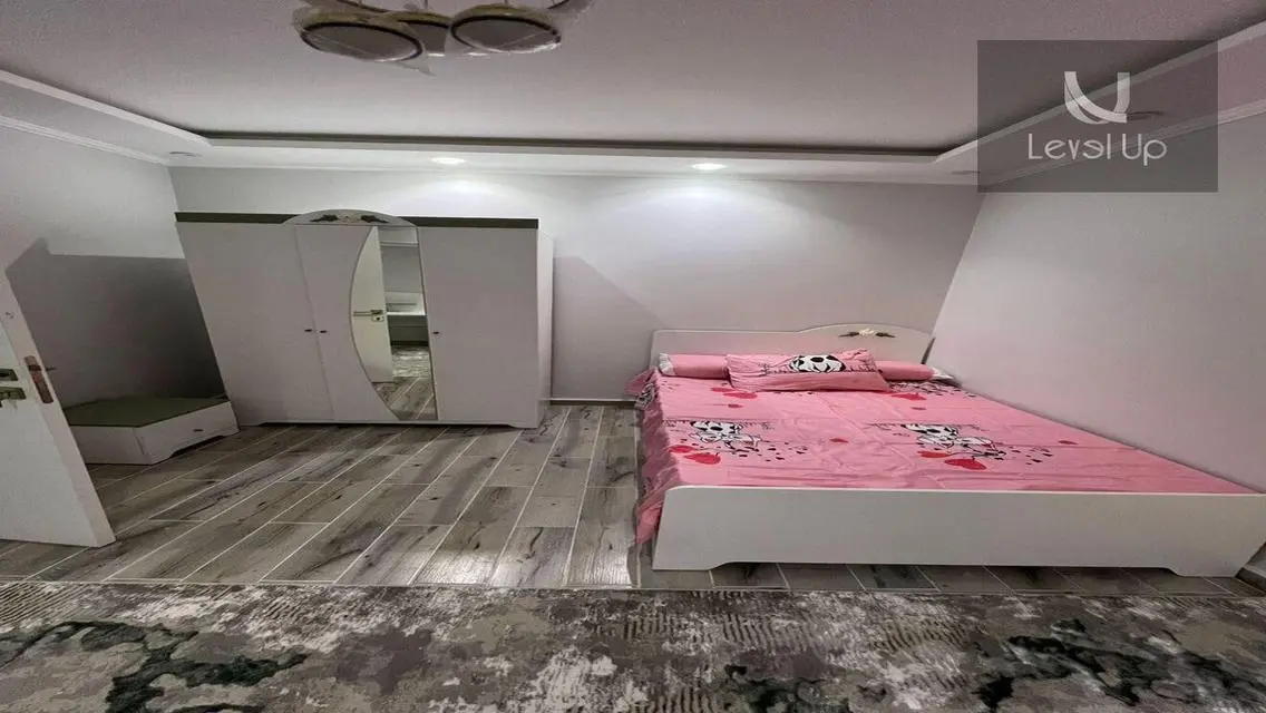 Luxury Apartment in Auc
